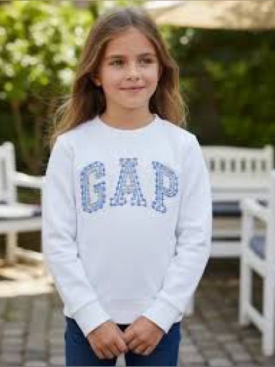 Other - Gap Kids girls' sweatshirt featuring a blue pink, silver logo size 6-7